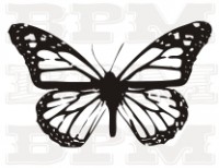 /album/fotogaleria-hmyz/hmyz-4-jpg/